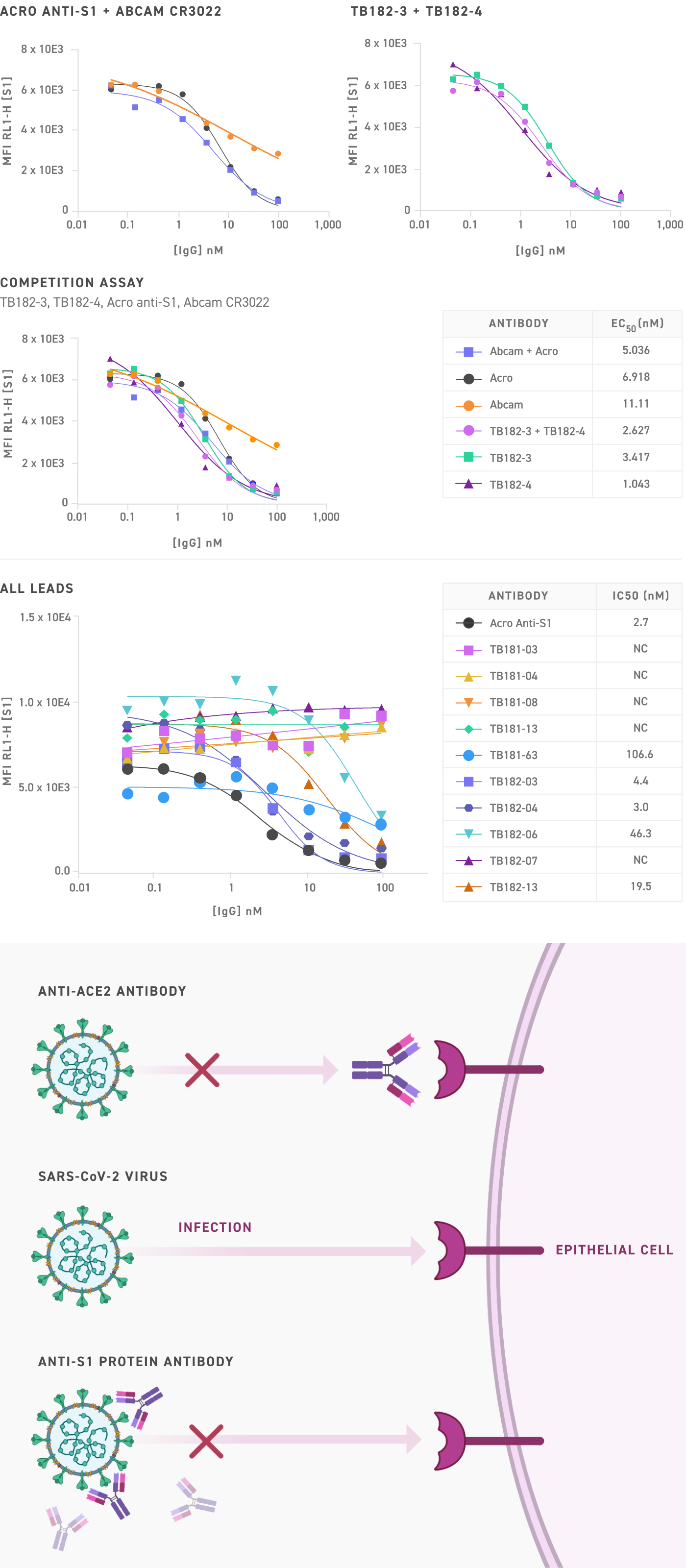 S1 RBD: VERO E6 Inhibition by FACS