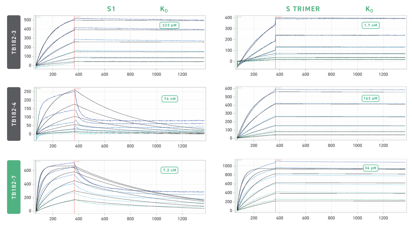 graphs